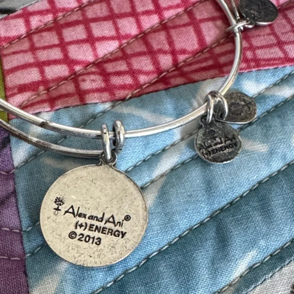 Alex and Ani Silver Tone Charm Bracelet with Engraved Discs Letter E